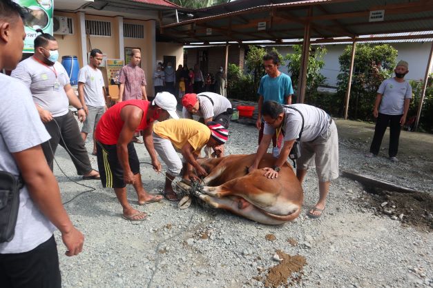 qurban 6